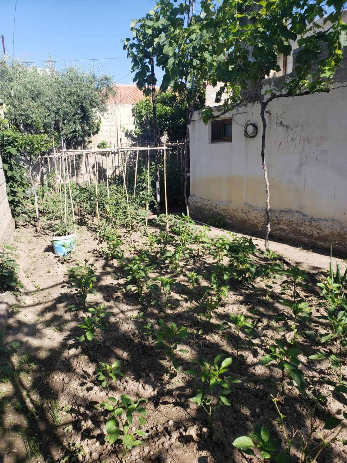 Private Room On A Shared Apartament Near Durres Beach Exterior photo